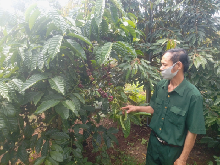 Người chi hội trưởng tâm huyết với công tác hội	